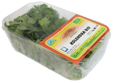 KOLENDRA ŚWIEŻA BIO (POLSKA) (około 50 g)