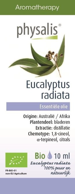 OLEJEK ETERYCZNY EUKALIPTUS AUSTR BIO 10 ml PHYSALIS