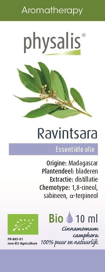 OLEJEK ETERYCZNY CYNAMON KAMFORA BIO 10ml PHYSALIS