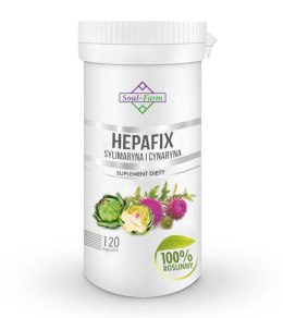 HEPAFIX SYLIMARYNA I CYNARYNA 560 mg 120 KAPSUŁEK - SOUL FARM
