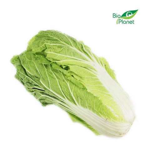 KAPUSTA PEKIŃSKA ŚWIEŻA BIO (POLSKA) (około 0,8 kg)