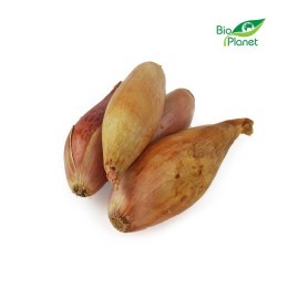 CEBULA SZALOTKA ŚWIEŻA BIO (około 0,25 kg)