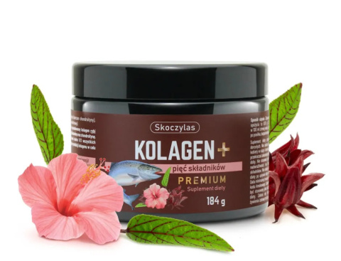KOLAGEN Z ŁOSOSIA PREMIUM WIT C KWAS HIALURONOWY GLUKOZAMINA CHYNDROITYNA 184G SKOCZYLAS