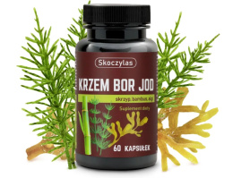 KRZEM BOR JOD TARCZYCA SERCE SKÓRA 60 KAPS SKOCZYLAS