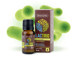 LACTRIO PROBIOTYK W KROPLACH 10 ML SKOCZYLAS