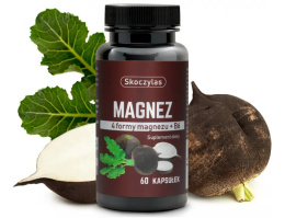MAGNEZ 4 FORMY WIT B6 CZARNA RZEPA 60 KAPS SKOCZYLAS