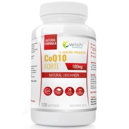 WISH KOENZYM Q10 100MG UBICHINON 120 KAP VEGE