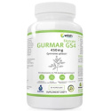 WISH GURMAR GS4 450MG 90 KAPSUŁEK