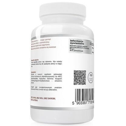 WISH LION'S MANE EXTRACT SOPLÓWKA 500 MG 60 KAPSUŁEK