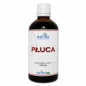 PŁUCA 100 ML KROPLE DROGI ODDECHOWE ODDYCHANIE INVENT FARM