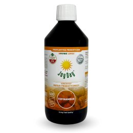 KONCENTRAT NAPOJU PROBIOTYCZNEGO TOPINAMBUR BIO 500 ml - JOY DAY