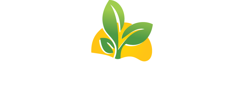  zdrowienastole.mom 
